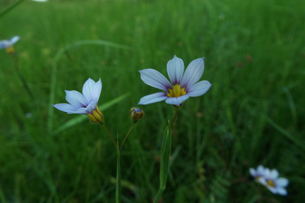 DSCF0491