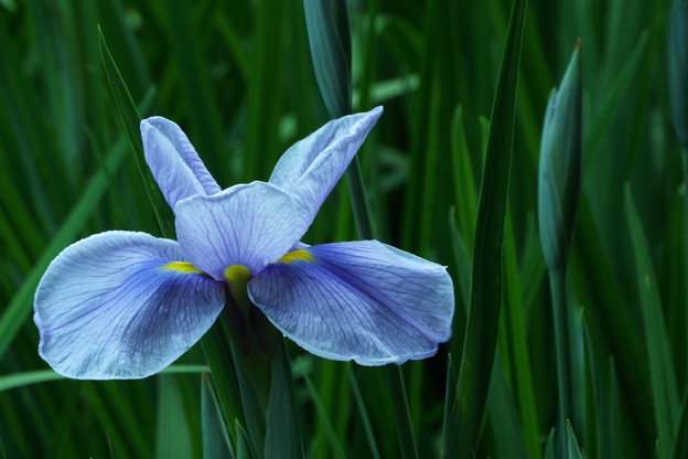 DSCF0570