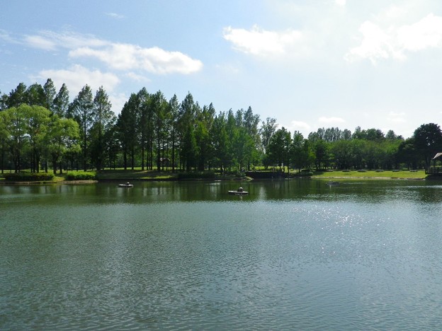 IMGP0071