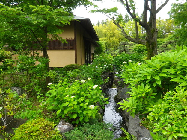 IMGP0040