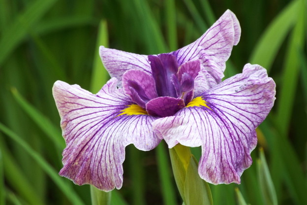DSCF0376