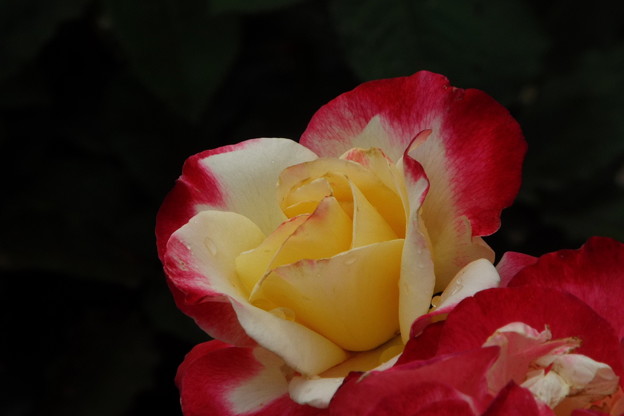 DSCF0573