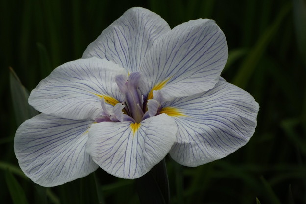 DSCF0885