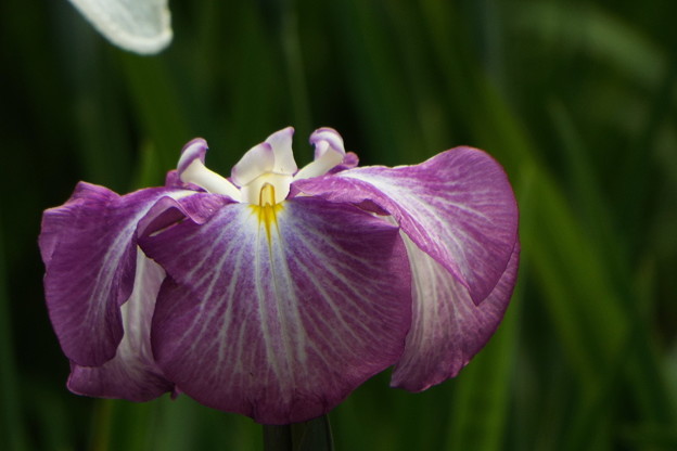 DSCF0768