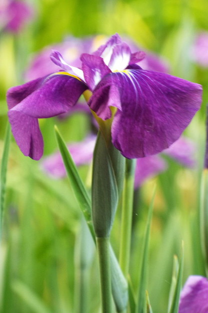 DSCF0846