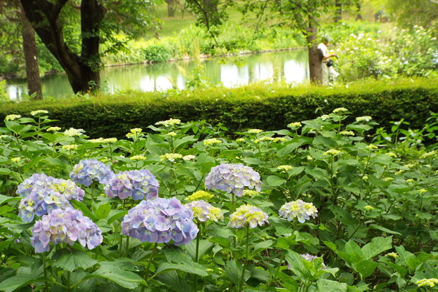 DSCF0326