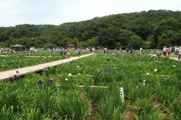 DSCF0067