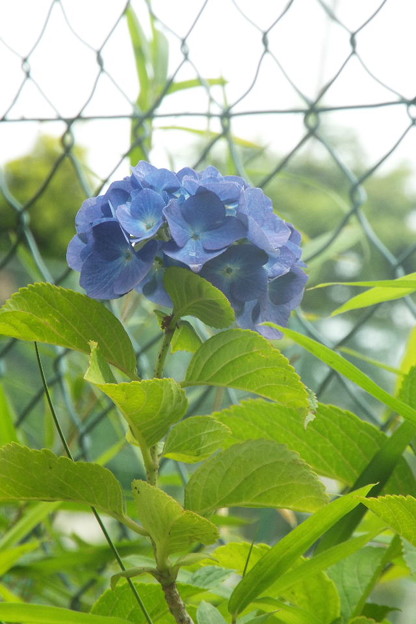 DSCF0238