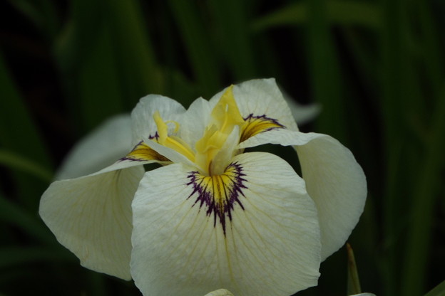 DSCF0547