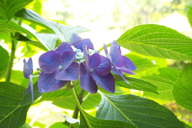 DSCF0388