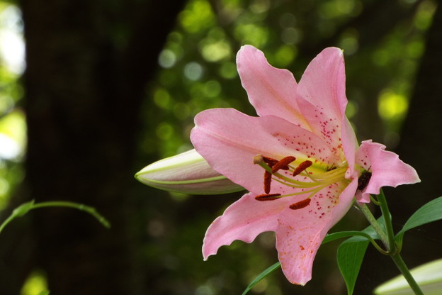 DSCF0273