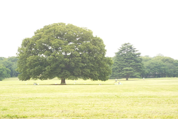 DSCF0872