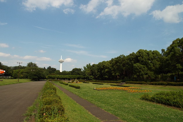 DSCF0509