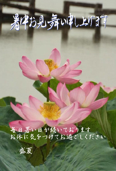 暑中23