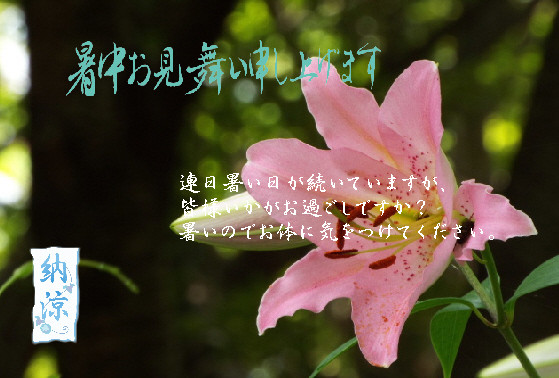暑中26