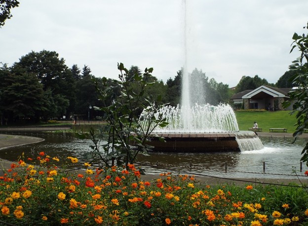 DSCF0107