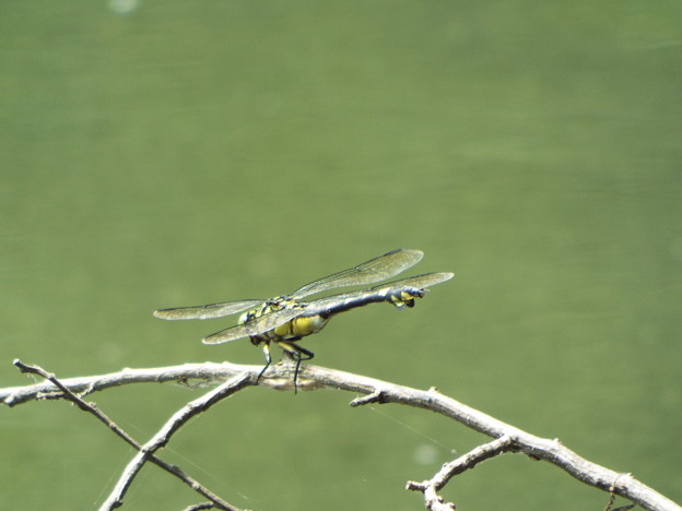 DSCF0067