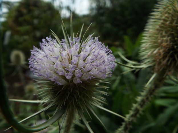 DSCF0152