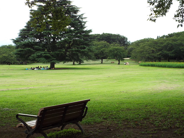 DSCF0430