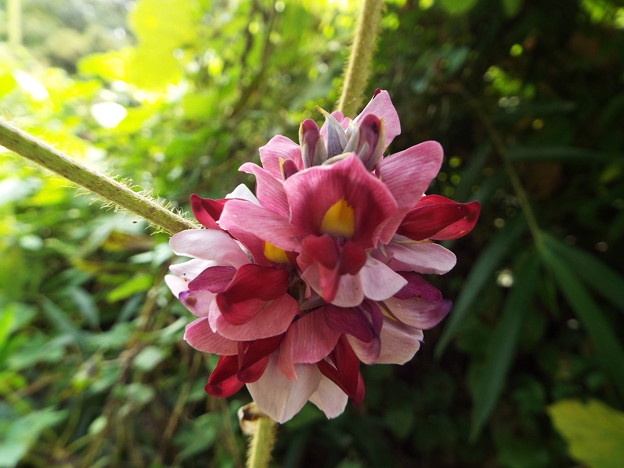 DSCF0052
