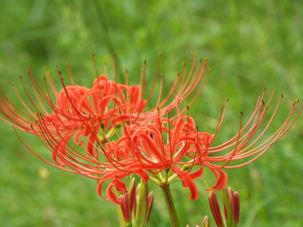 DSCF0083