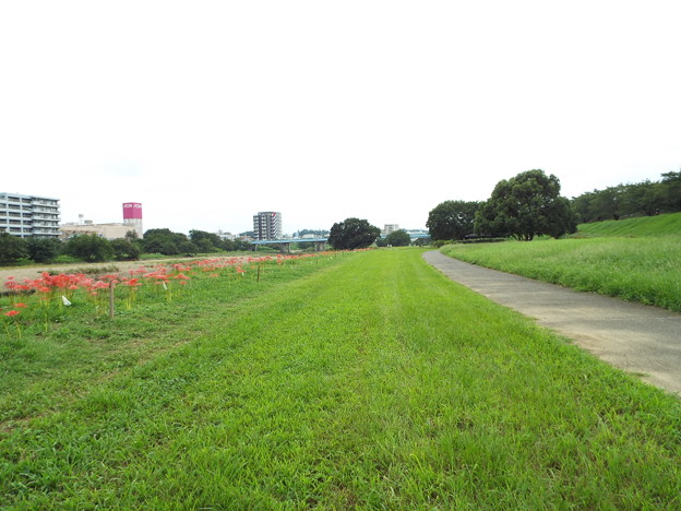 DSCF0594