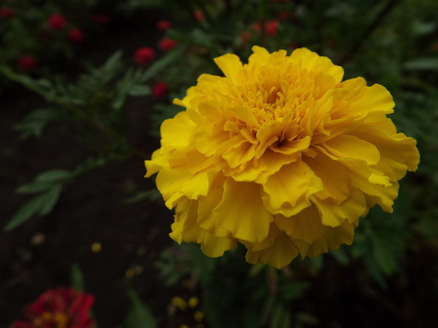 DSCF0026