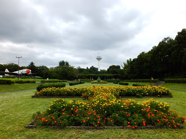 DSCF0424