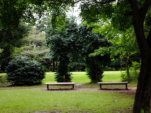 DSCF0184