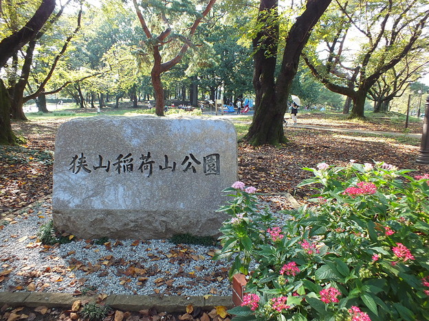 DSCF0100
