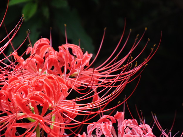 DSCF0097