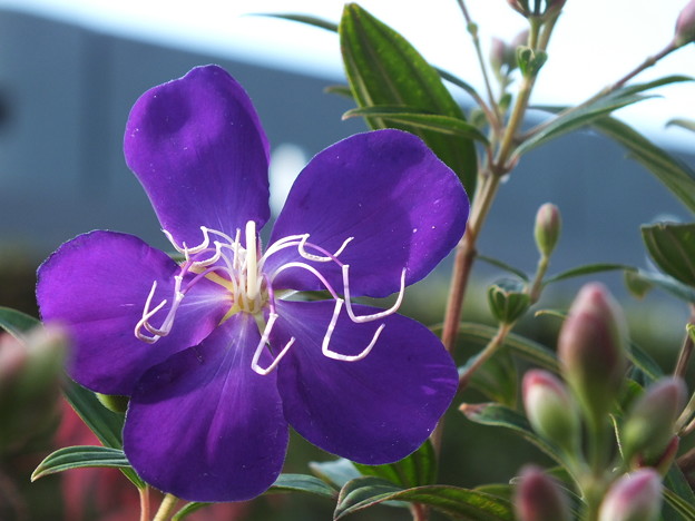 DSCF0860