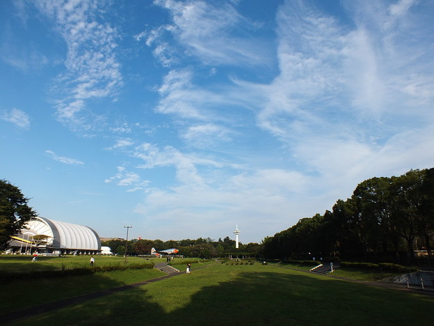 DSCF0287