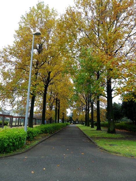 IMGP0147