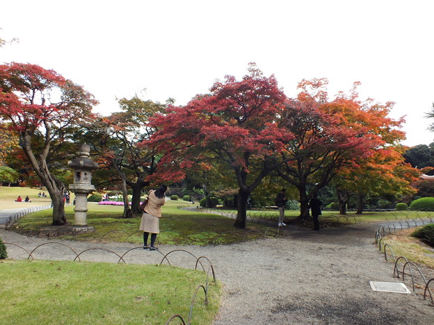 DSCF0059