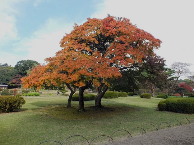 DSCF0139