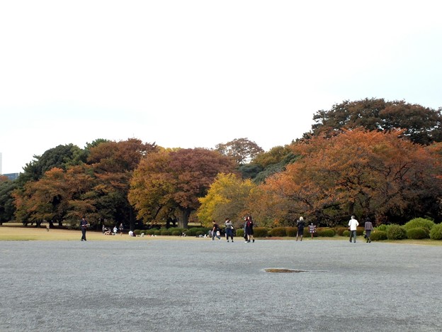 DSCF0470