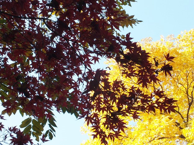 DSCF0094