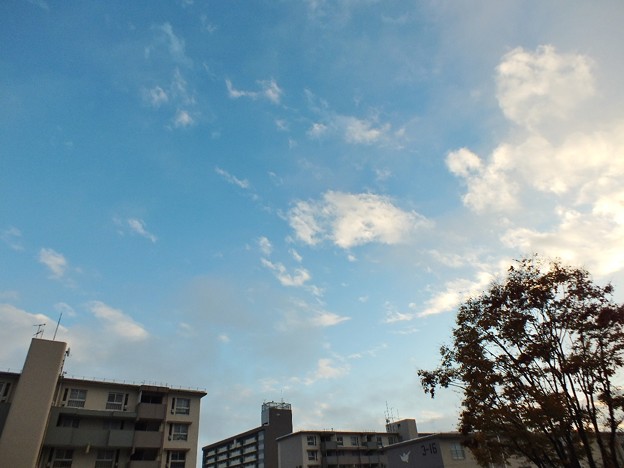 16・00DSCF0061