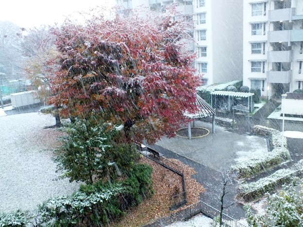 7・7DSCF0005