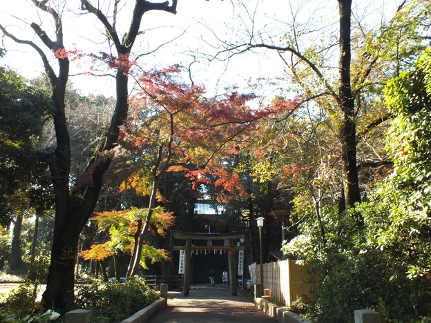 DSCF0320
