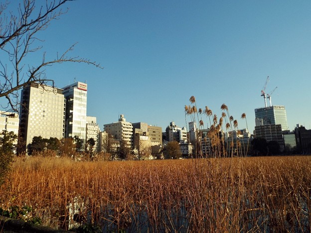 DSCF0823