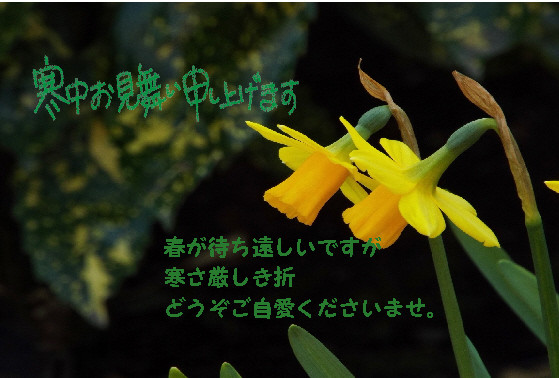 寒中3