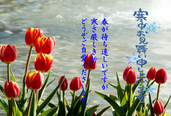 寒中5