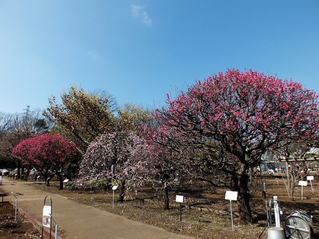DSCF0302