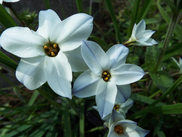 DSCF0254