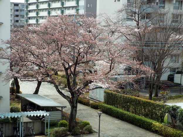 DSCF0001