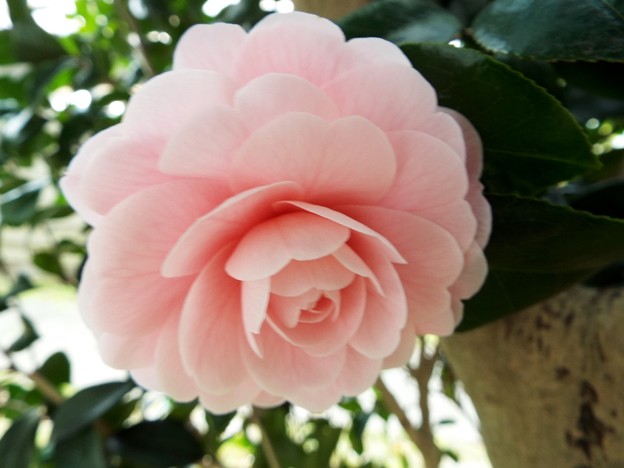 DSCF0030