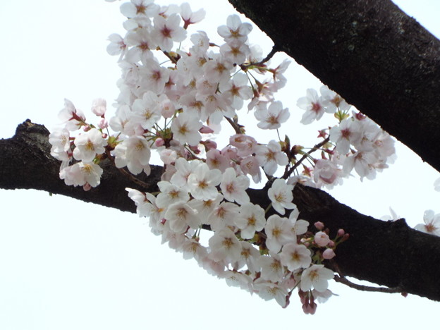 DSCF0149