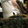 Photos: お詣り　そして・・・